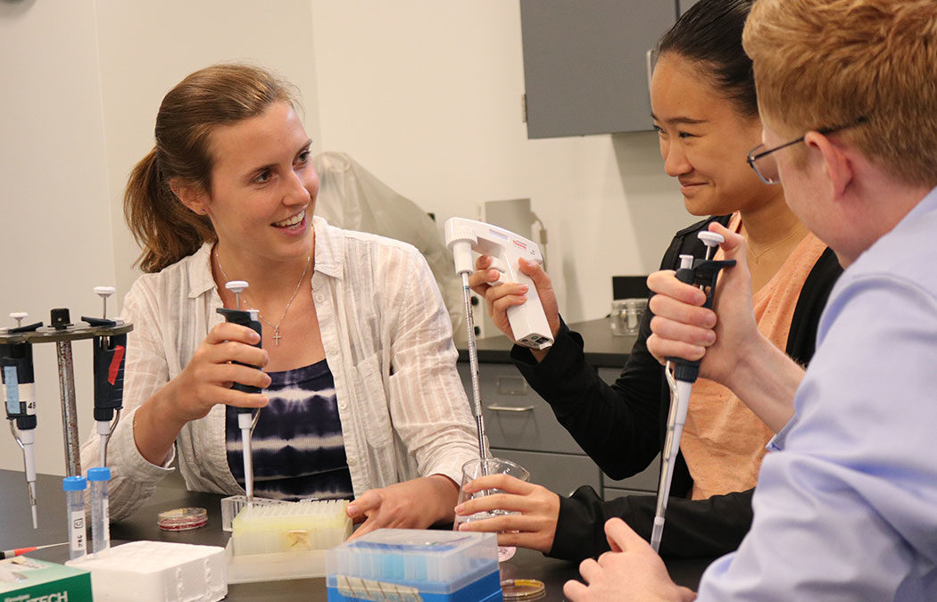 Regenerative medicine workshop provides eye-opening experience