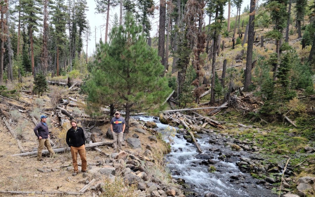GSS contributes to National Wetland Inventory